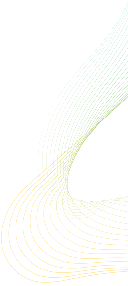 Decorative Shape 2